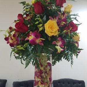 Meet your Posher, Durlin